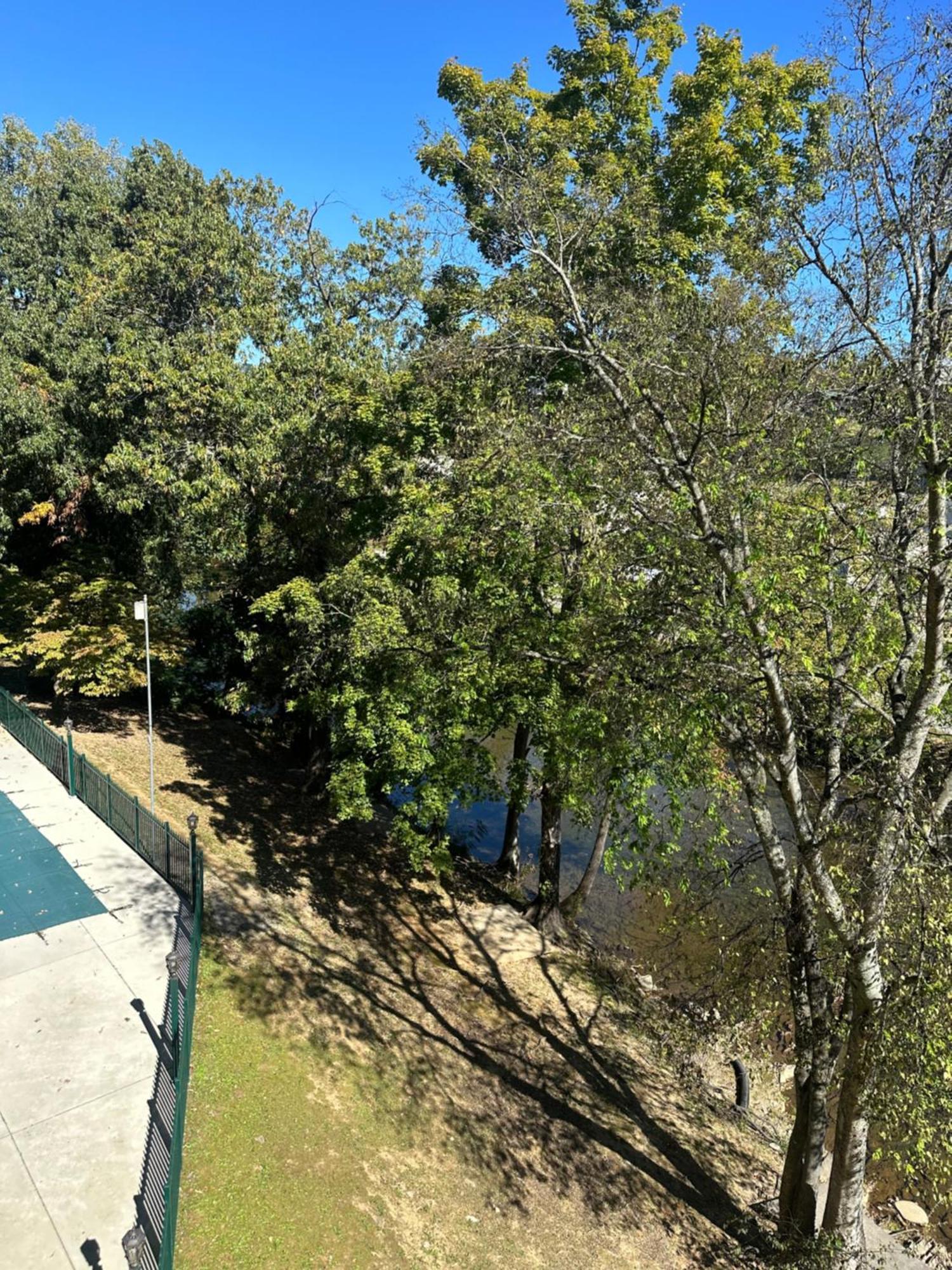 פיג'ן פורג' River Place Condos #409 1Bd, 2Bath מראה חיצוני תמונה